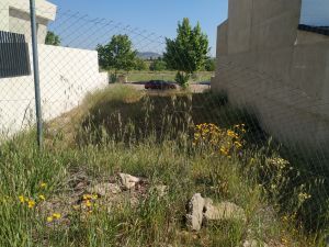 IMG_20210504_110951